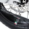 FANTIC Issimo Urban