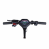 Segway P65E