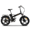 SKYJET 36V 250W
