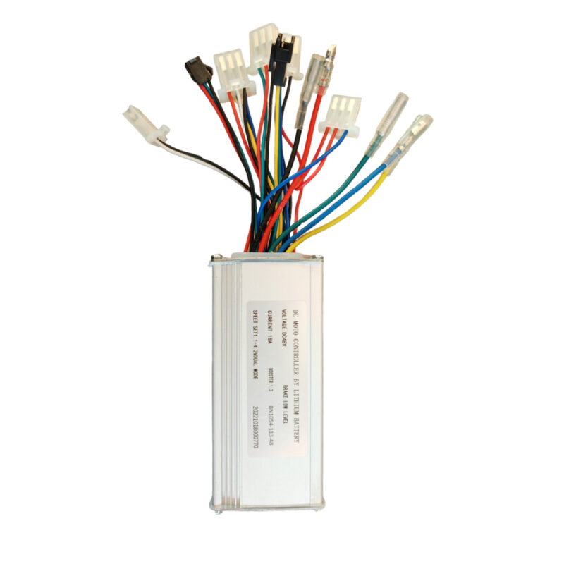 CENTRALINA ICONE VITALE 48V