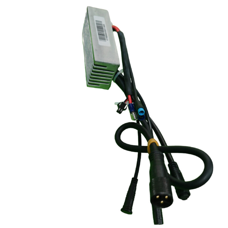 CENTRALINA XP BIKE 48V 20A
