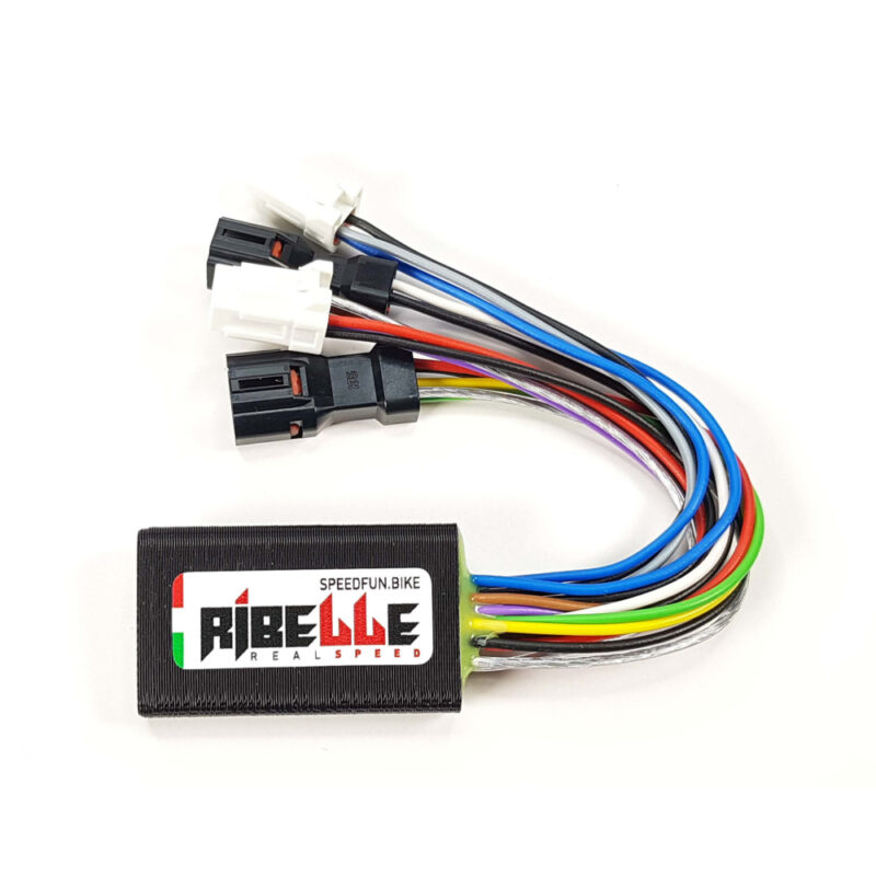 SpeedFun Ribelle per Giant Syncdrive Pro (PW-X3) e Ridecontrol Go