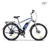 Argento Alpha City eBike