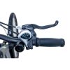 Argento Alpha City eBike