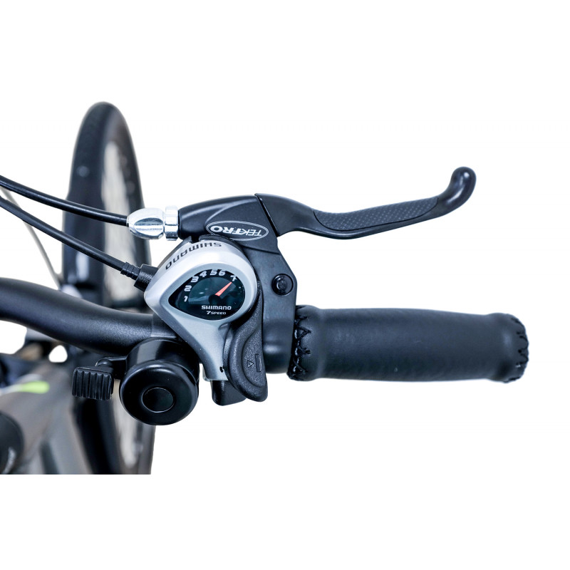 Argento Alpha City eBike - immagine 7