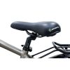 Argento Alpha City eBike