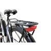 Argento Alpha City eBike