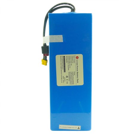 Majestic 655408150 - Batteria ricaricabile YLD4810D per Majestic LEWIS