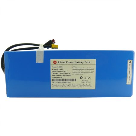 Majestic 655414150 - Batteria ricaricabile YLD4810D per Majestic LEWIS PRO II