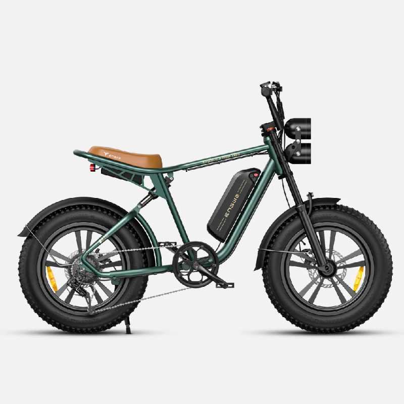 ENGWE M20