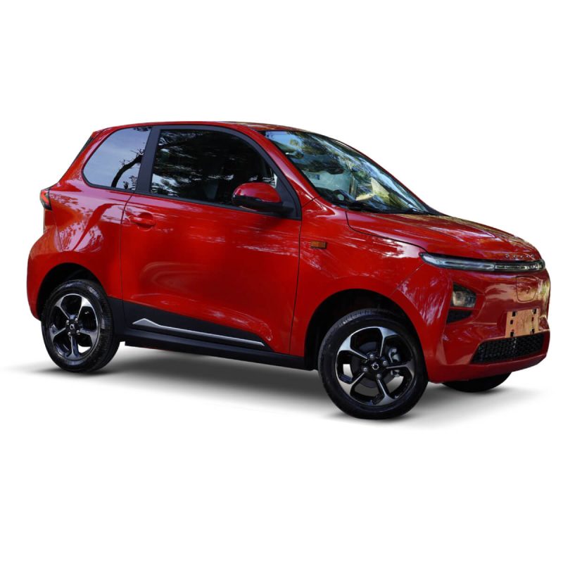 Desner Auto P300