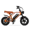 VICTRIP Pro Off Road Electric Bike Moped