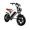 VICTRIP Pro Off Road Electric Bike Moped