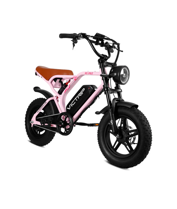 VICTRIP Pro Off Road Electric Bike Moped - immagine 3