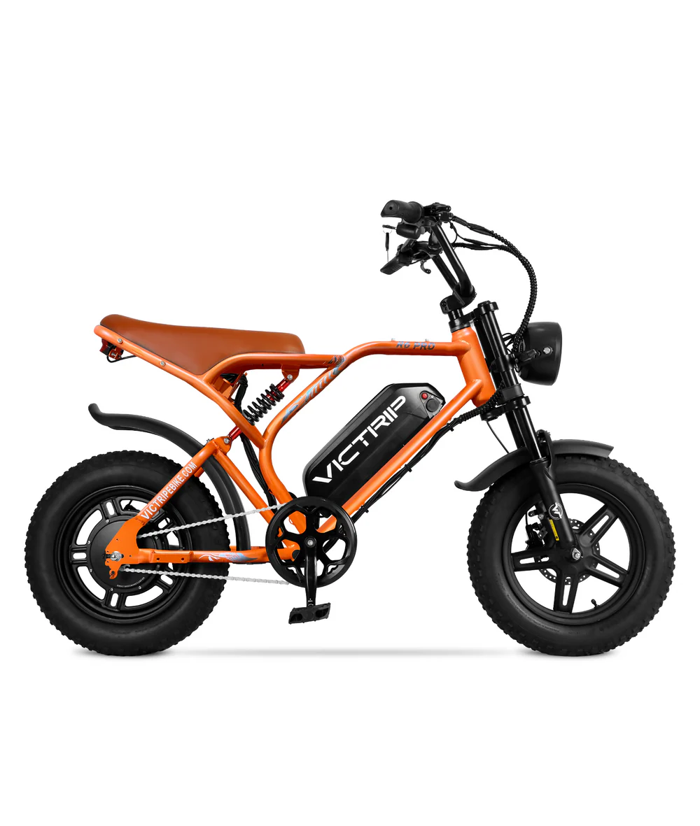 VICTRIP Pro Off Road Electric Bike Moped