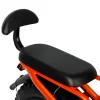 VICTRIP R5S Foldable Electric Bike