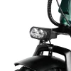 VICTRIP T5 Foldable Ebike