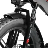 VICTRIP T5 Foldable Ebike