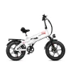 VICTRIP T6 Foldable Long Range Electric Bike